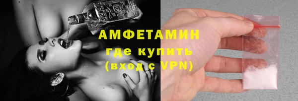 прущие грибы Гусев