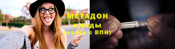 прущие грибы Гусев