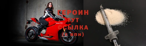 прущие грибы Гусев