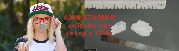 прущие грибы Гусев