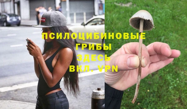 каннабис Горнозаводск